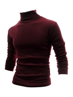 Load image into Gallery viewer, Simple High Collar T-shirt
