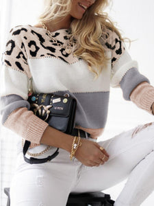 Leopard Print Striped Sweater